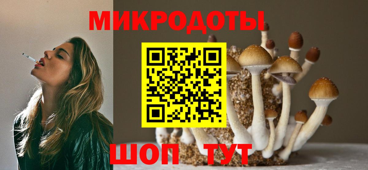 Балашов  Псилоцибиновые грибы GOLDEN TEACHER  Галлюциногенные грибы GOLDEN TEACHER  Вход с VPN 